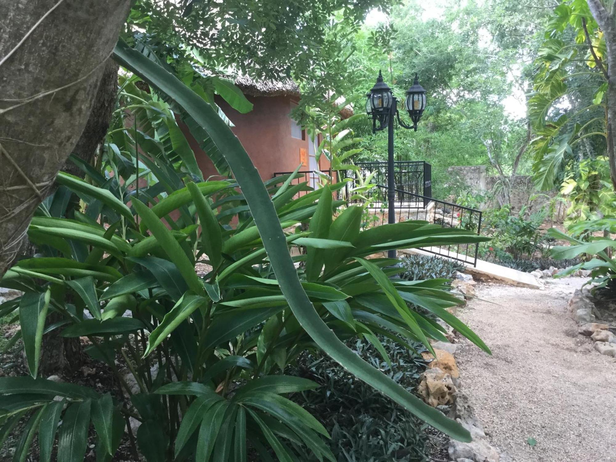 腌洋葱生态精品住宿加早餐旅馆 Santa Elena 客房 照片