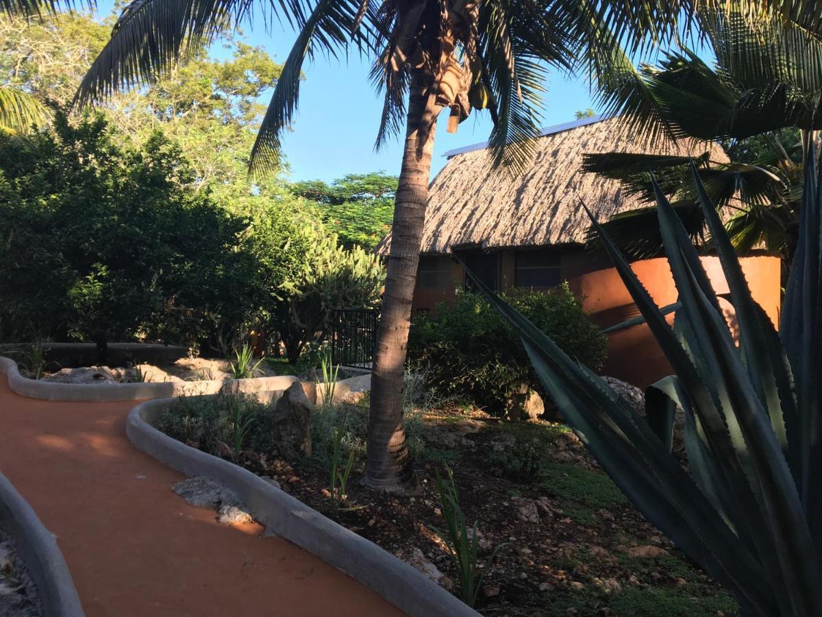 腌洋葱生态精品住宿加早餐旅馆 Santa Elena 外观 照片