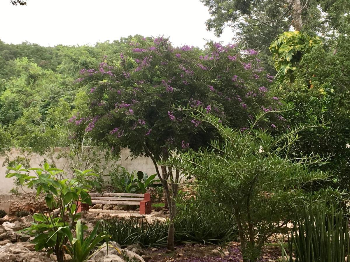 腌洋葱生态精品住宿加早餐旅馆 Santa Elena 外观 照片
