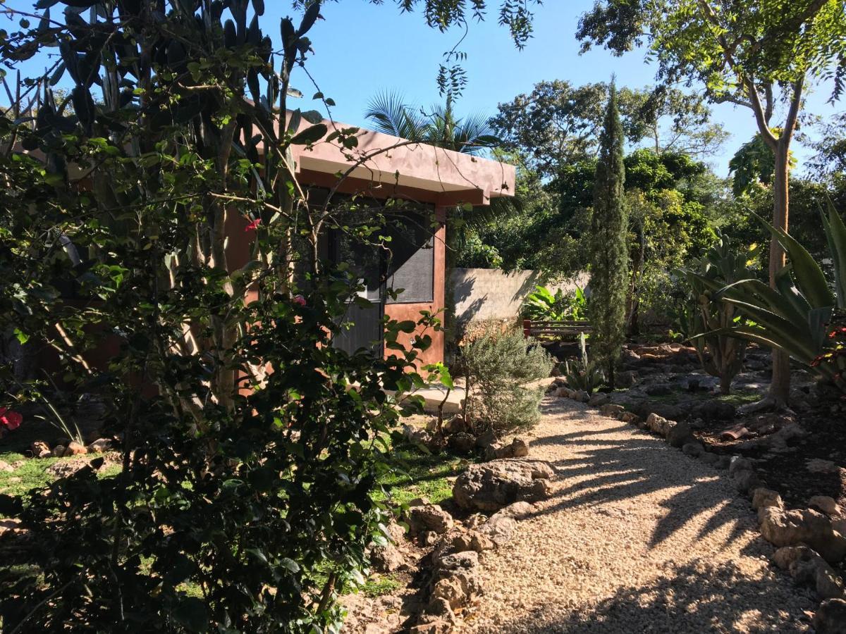 腌洋葱生态精品住宿加早餐旅馆 Santa Elena 外观 照片
